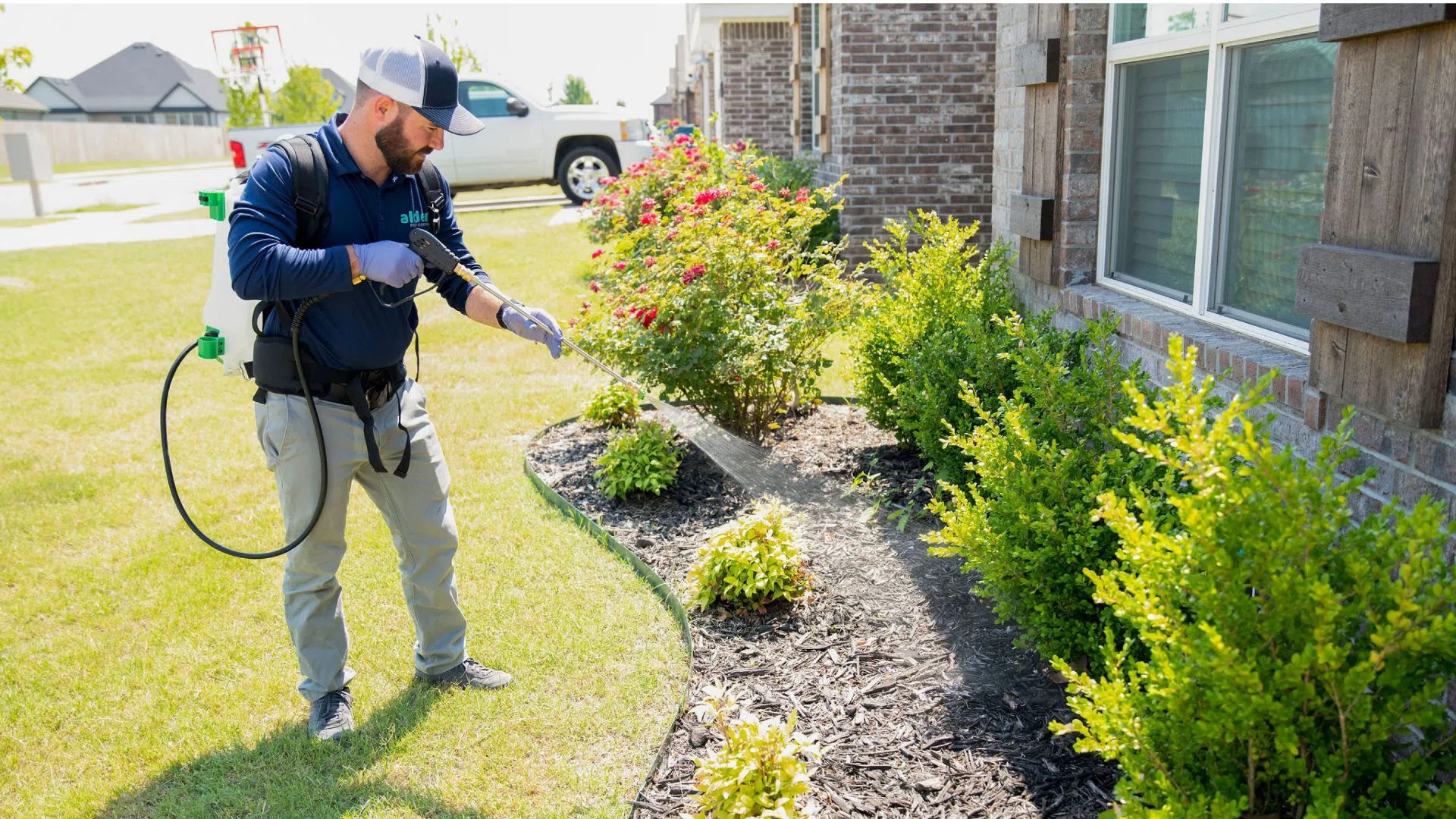 Pest control technician spraying insecticide on plants near a residential house garden on a sunny day