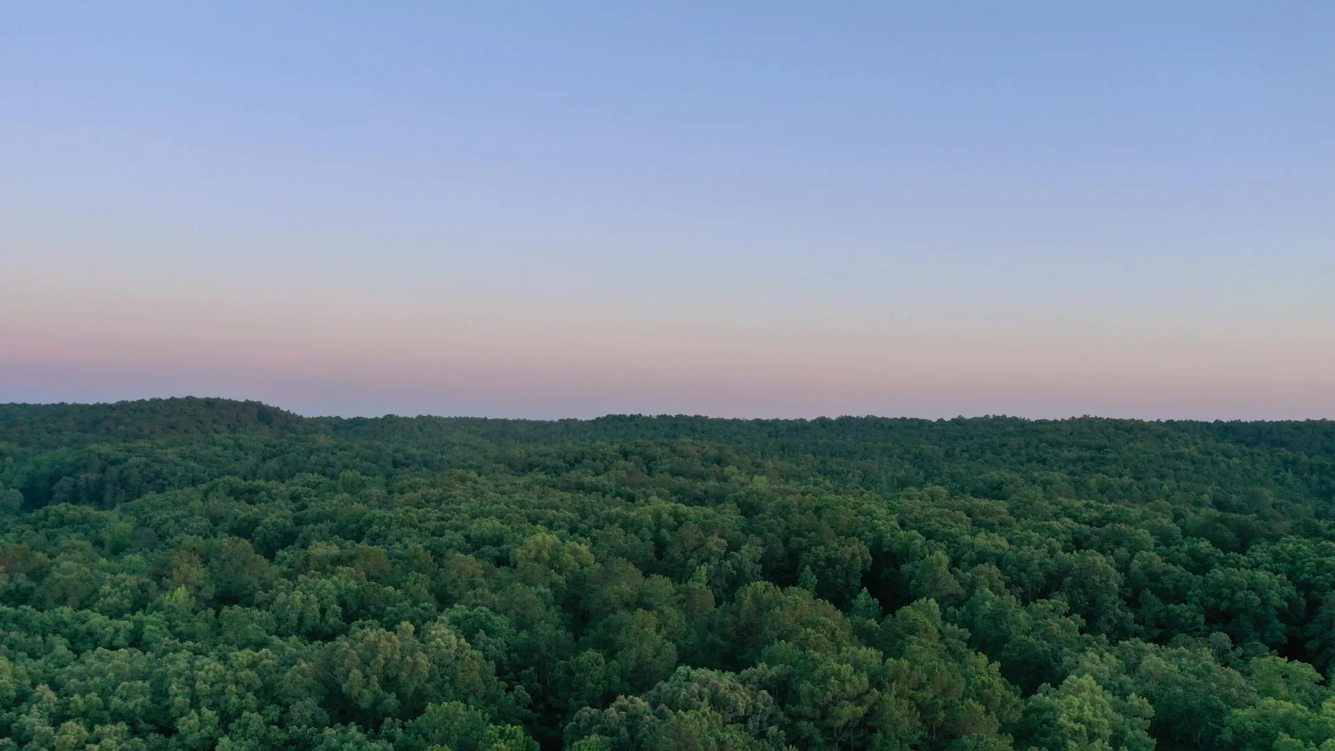 A vast green forest under a clear blue sky with a subtle sunset glow on the horizon.