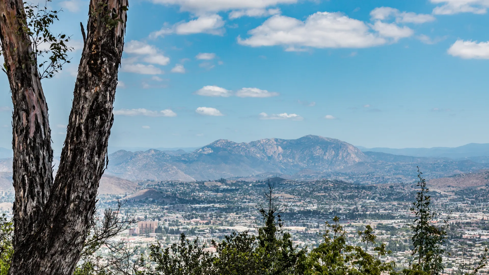 a view of a city and mountains