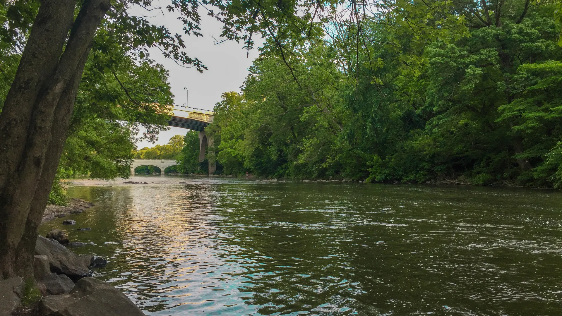 a river with a bridge over it