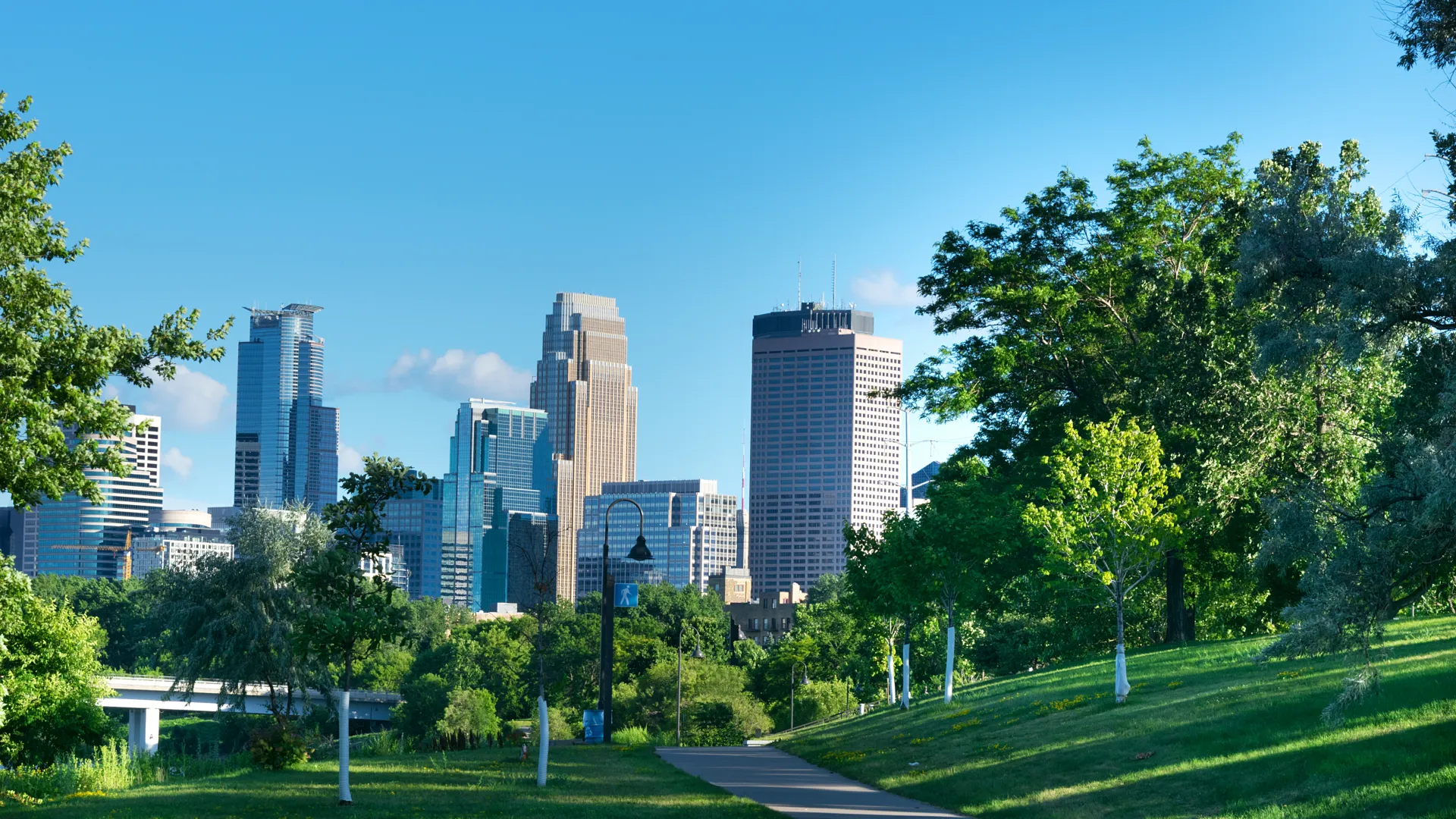 a park with trees and tall buildings in the background