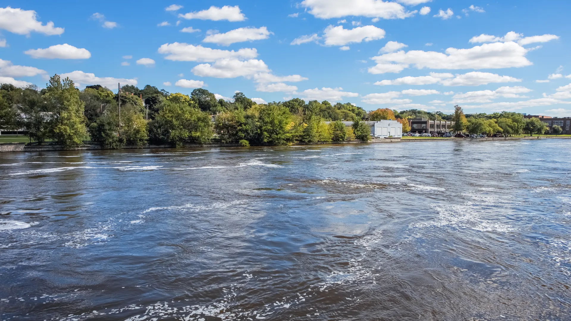 a body of water with trees around it