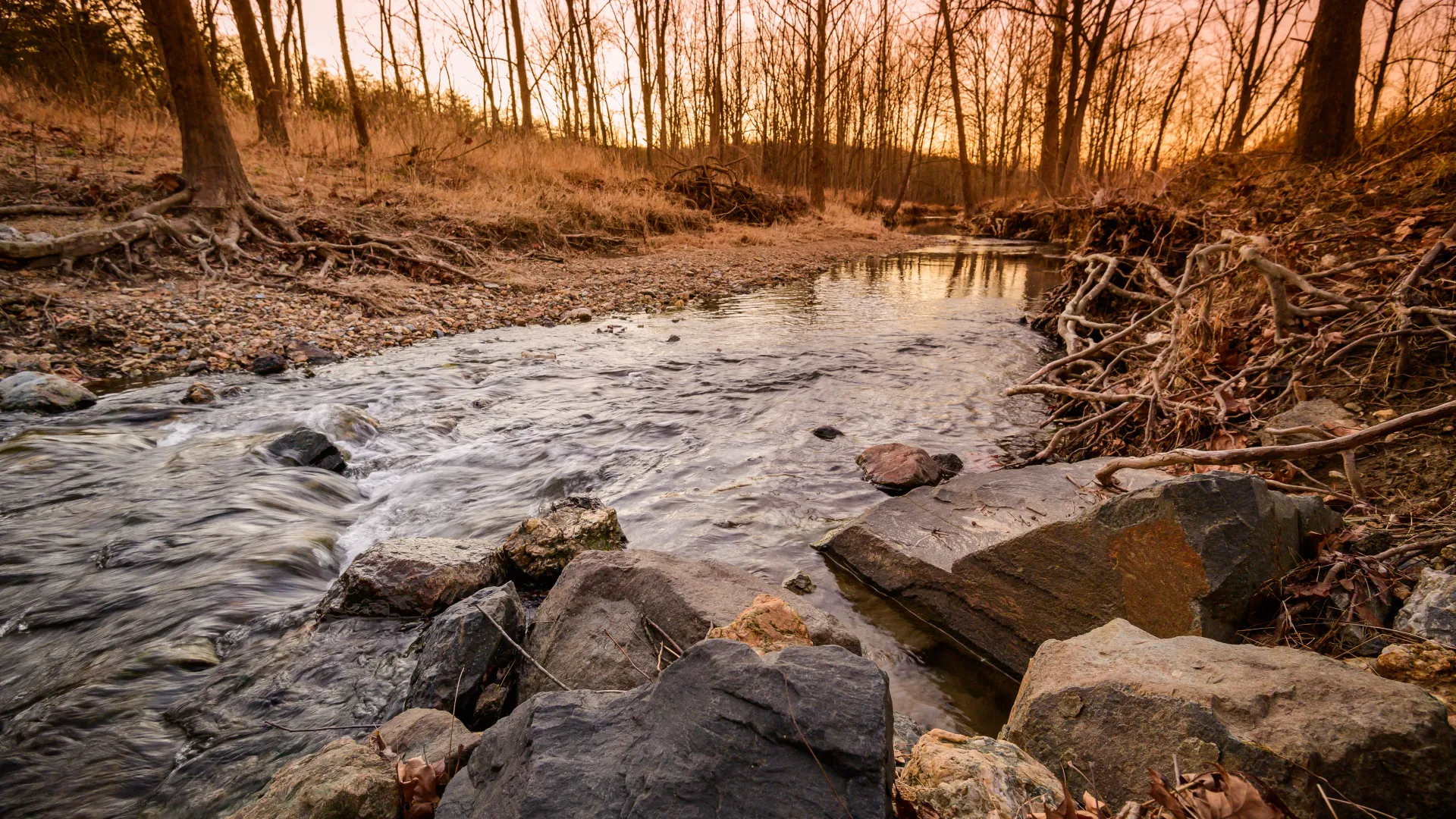 a river with rocks and trees