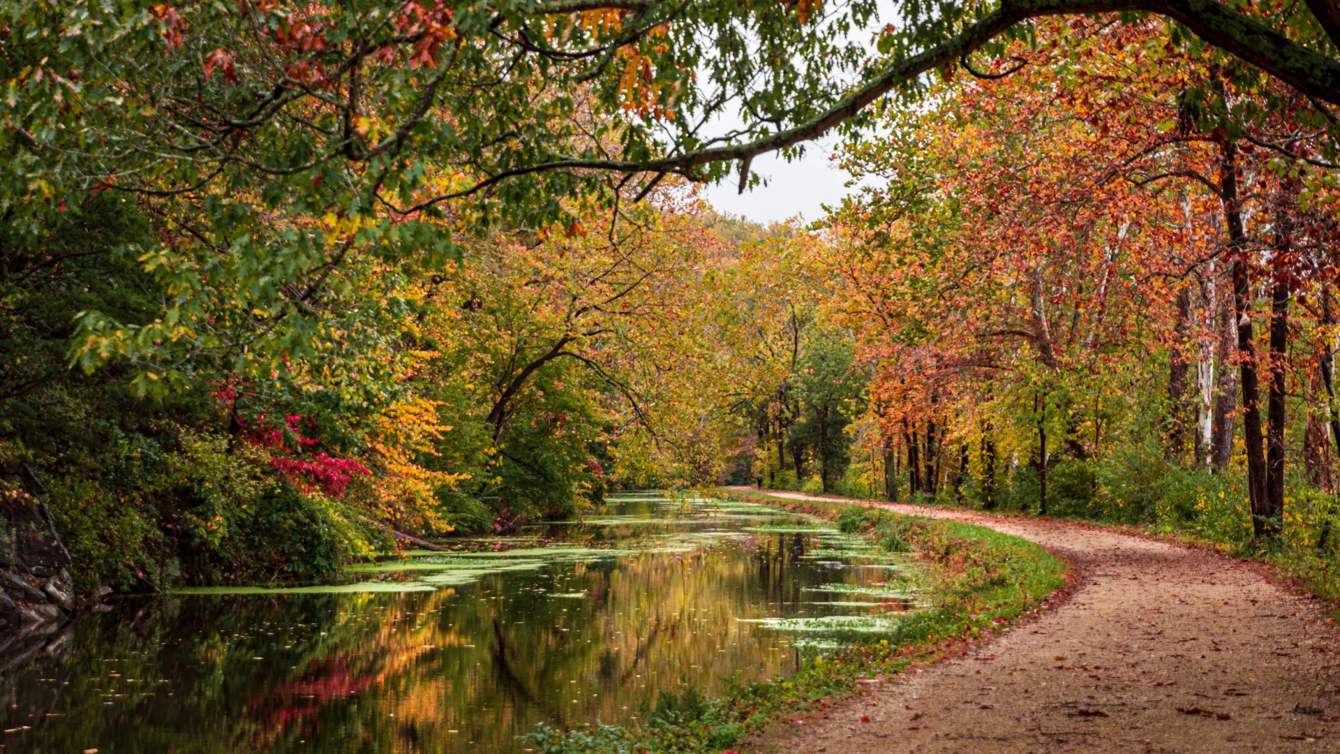 a path next to a body of water with trees around it