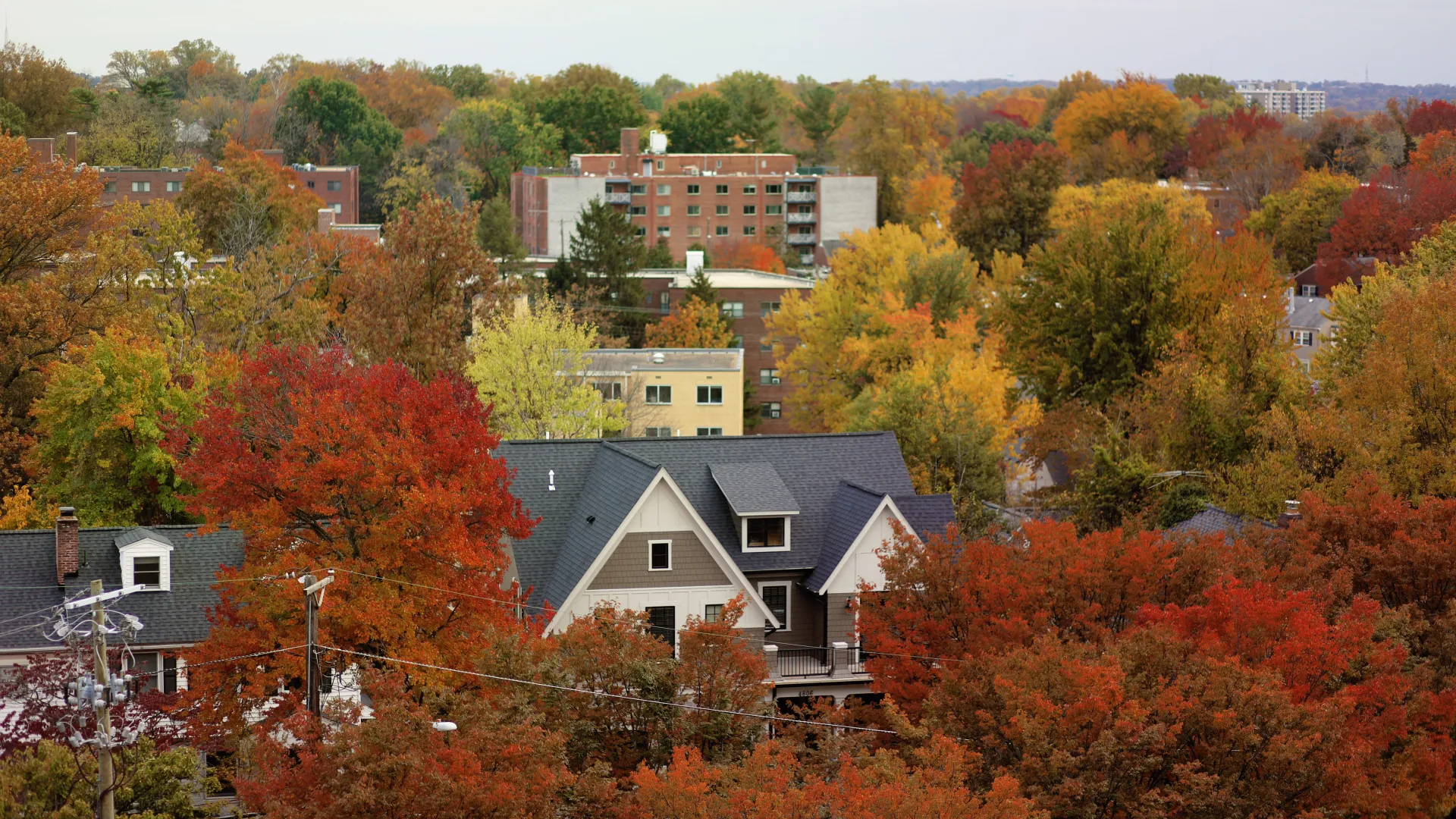 a group of houses surrounded by trees