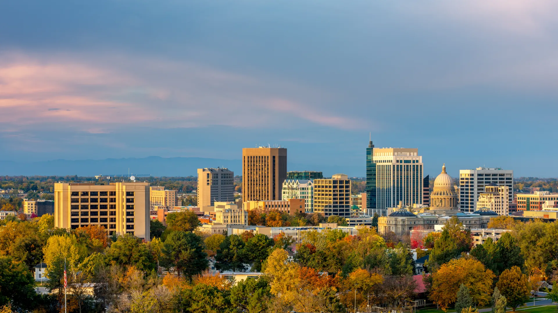 a city with trees and buildings