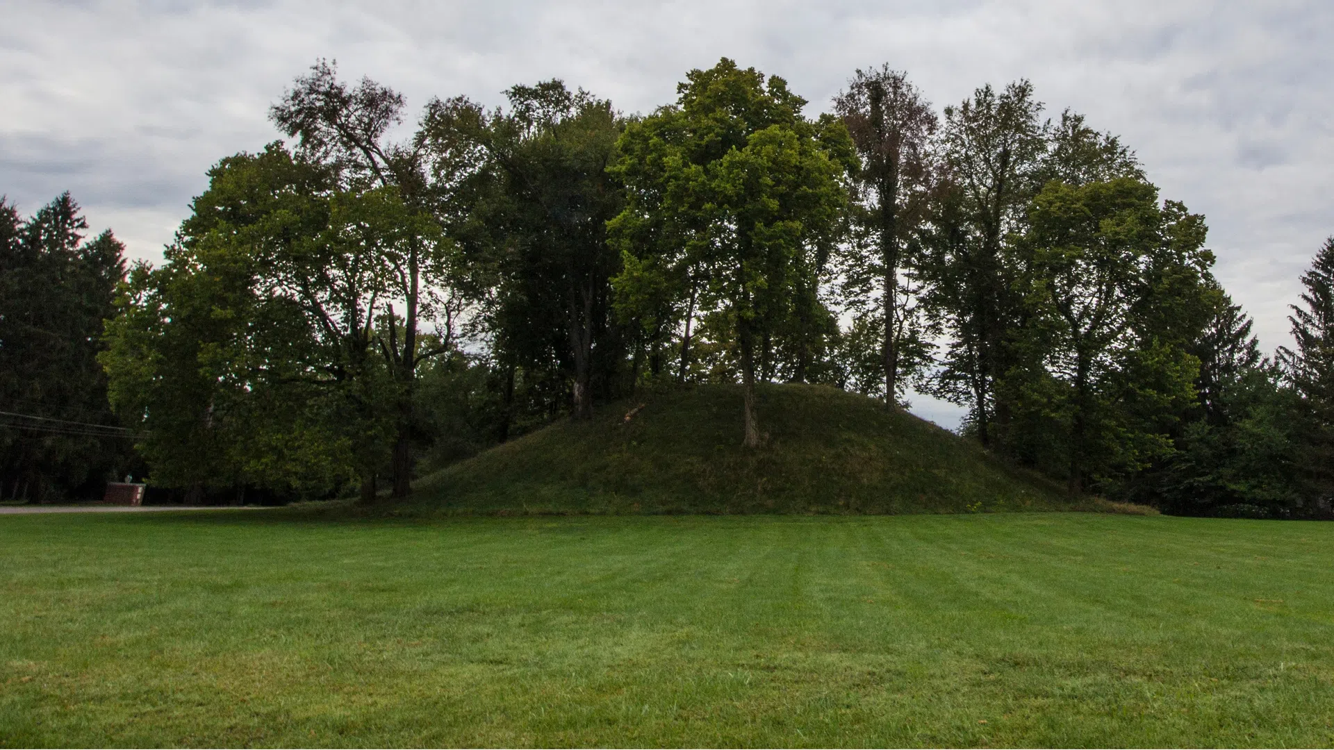Grassy mound covered with tall green trees under a cloudy sky in an open park area