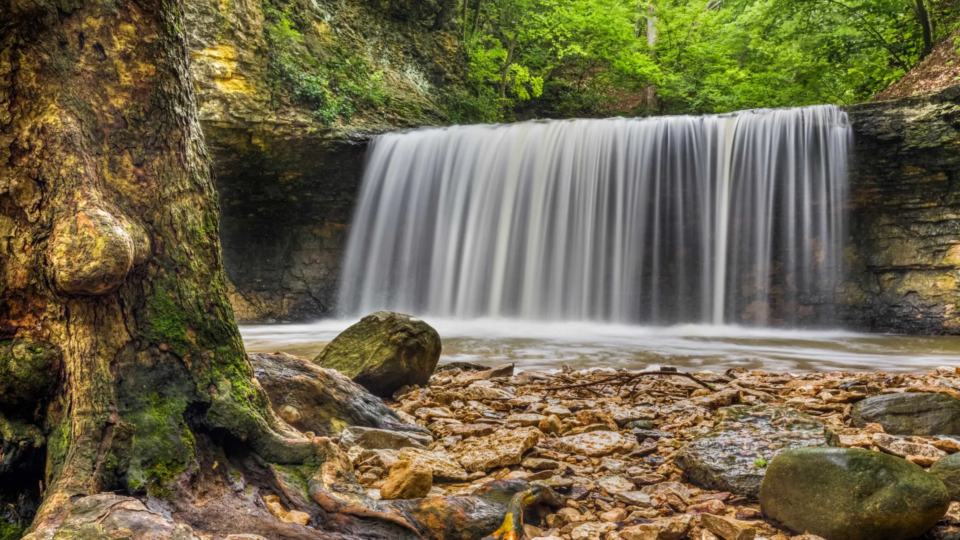 a waterfall in a forest