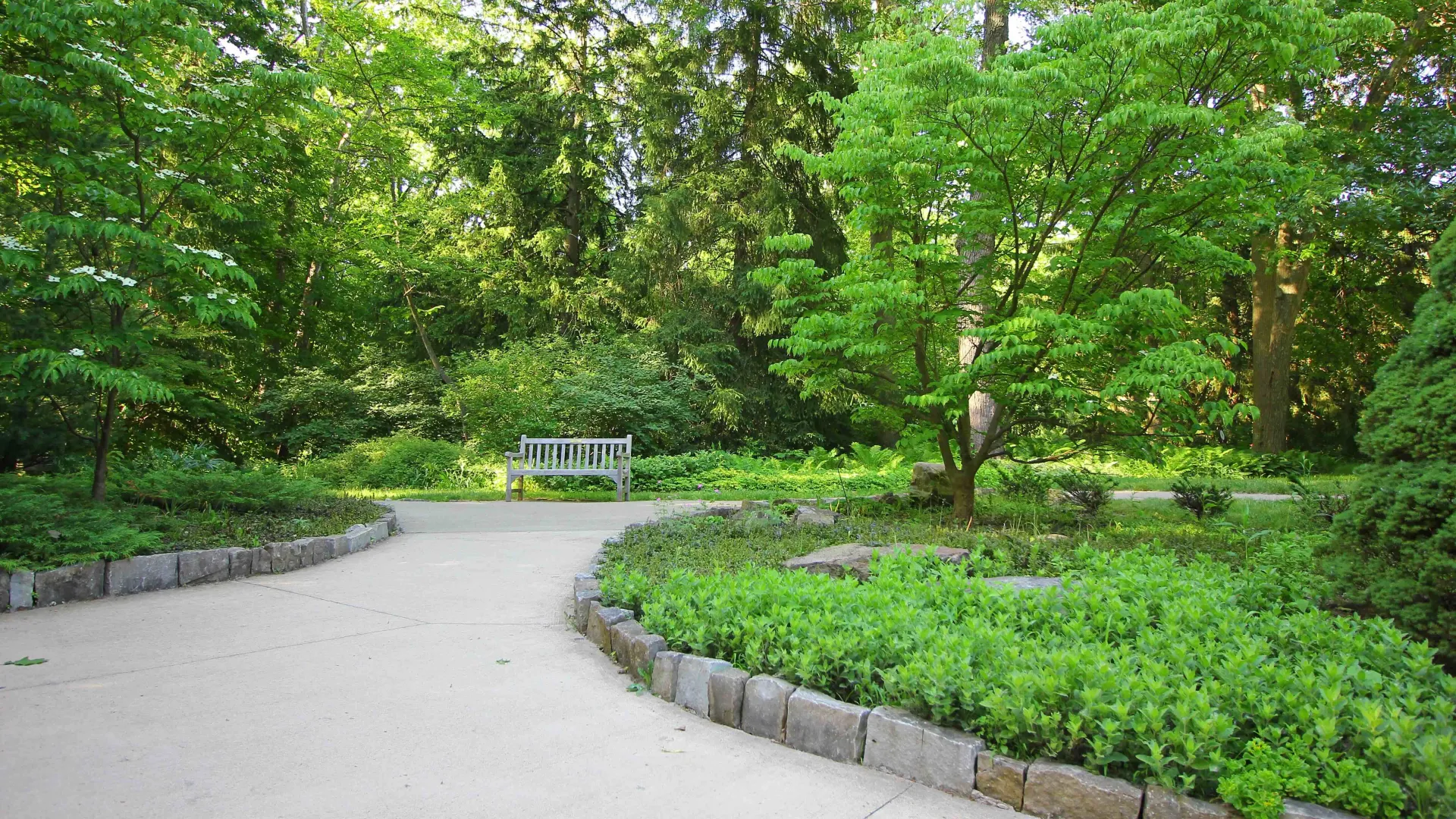 a bench in a park