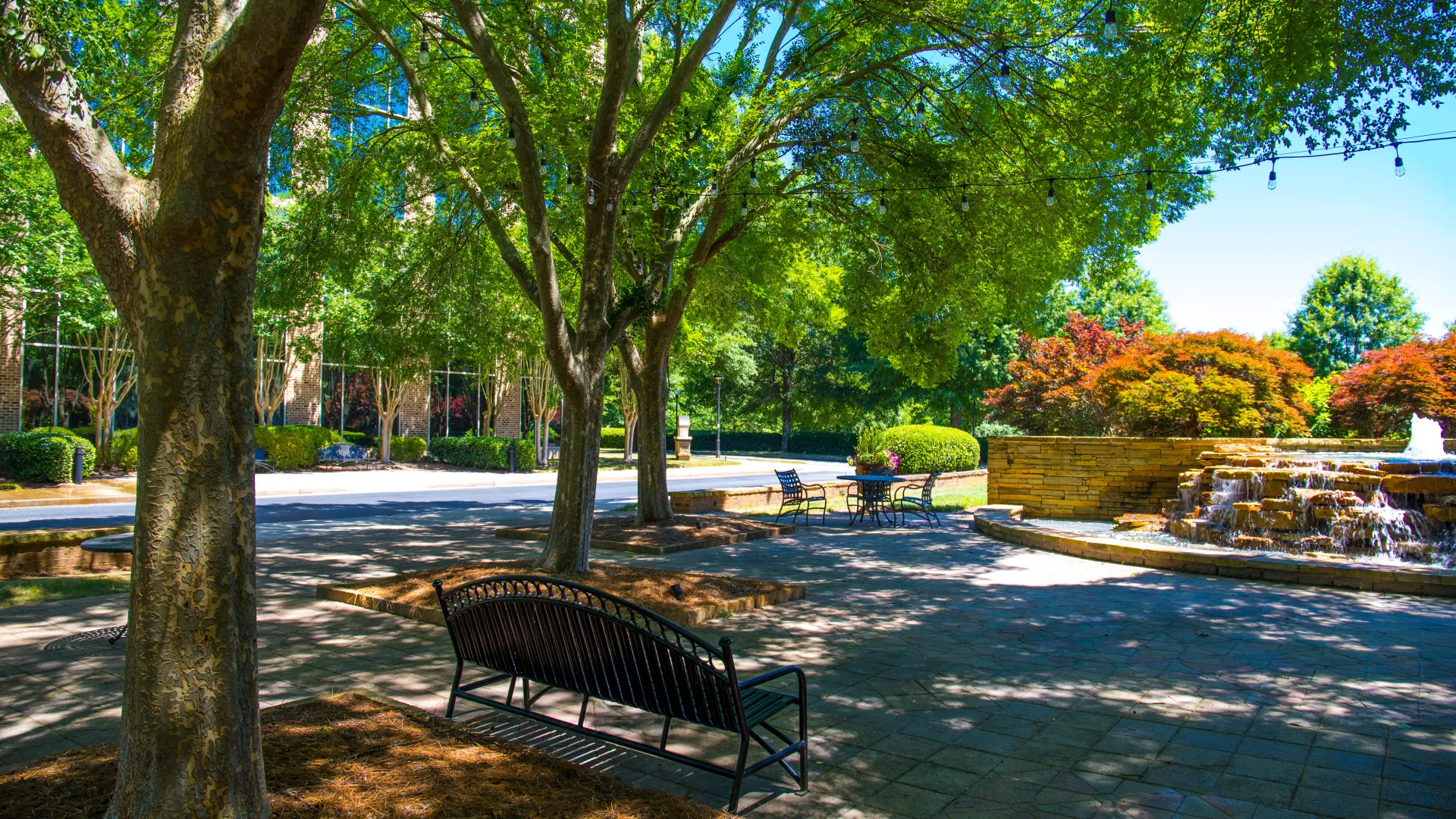 a park with benches