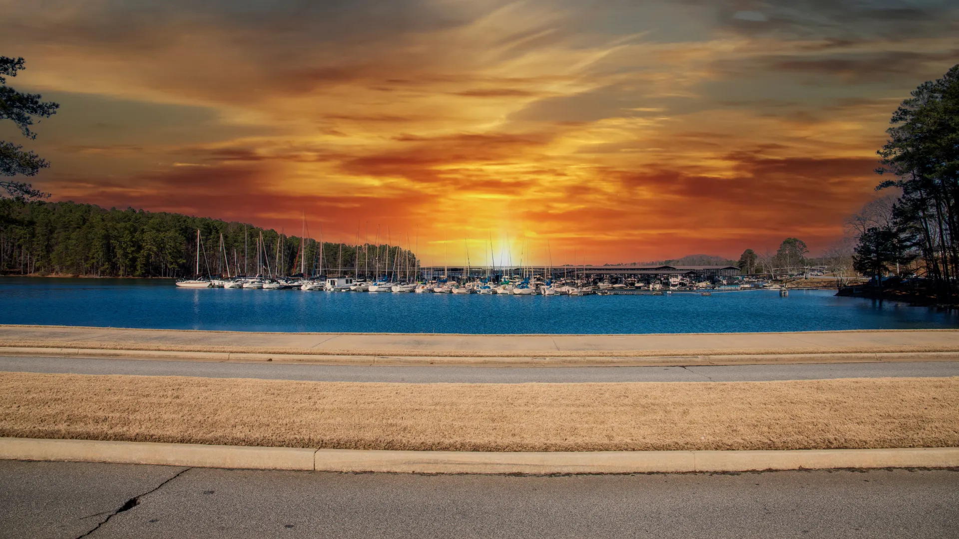 a beach with a body of water and trees in the background