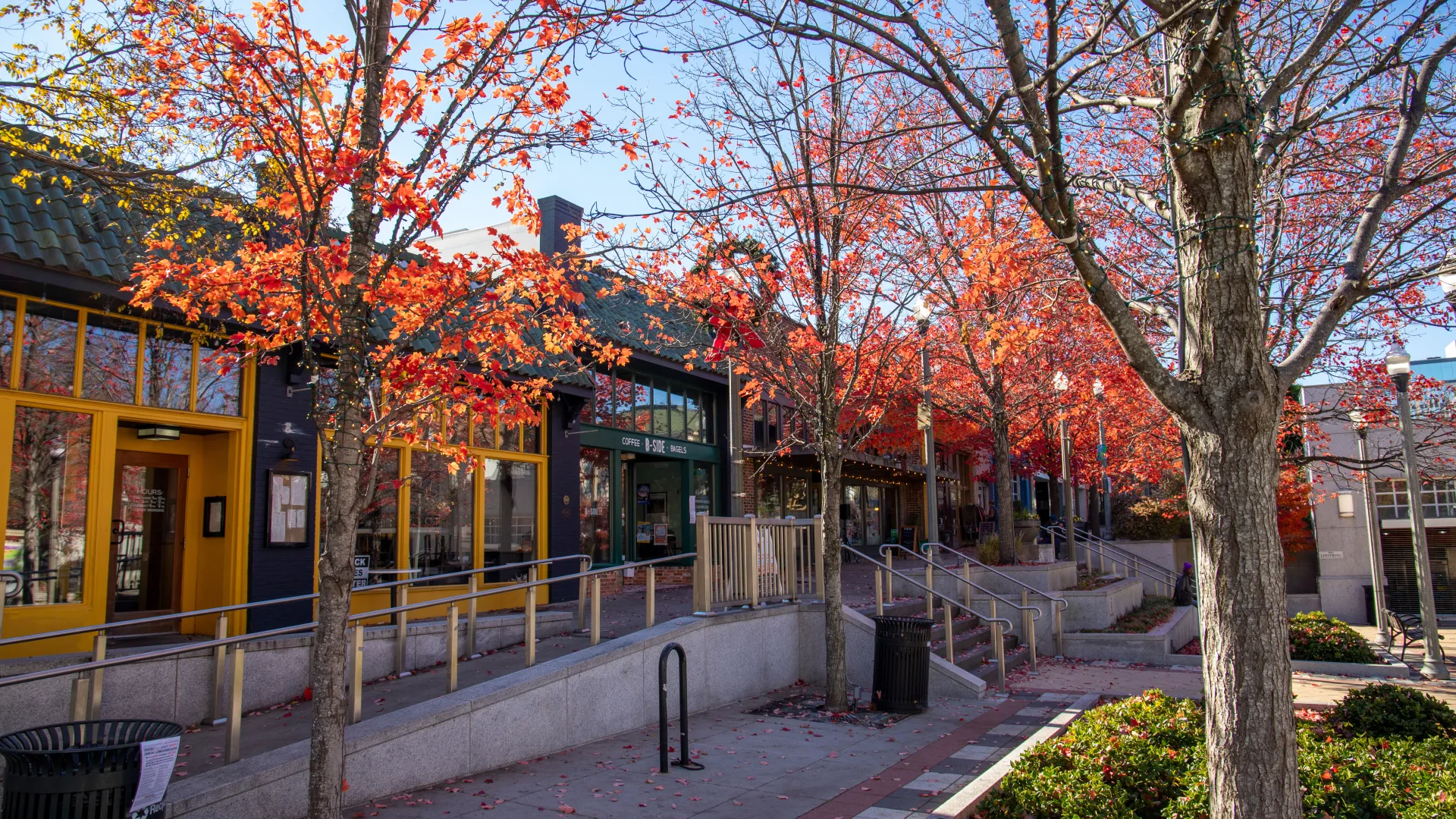 a path with trees and buildings on either side of it