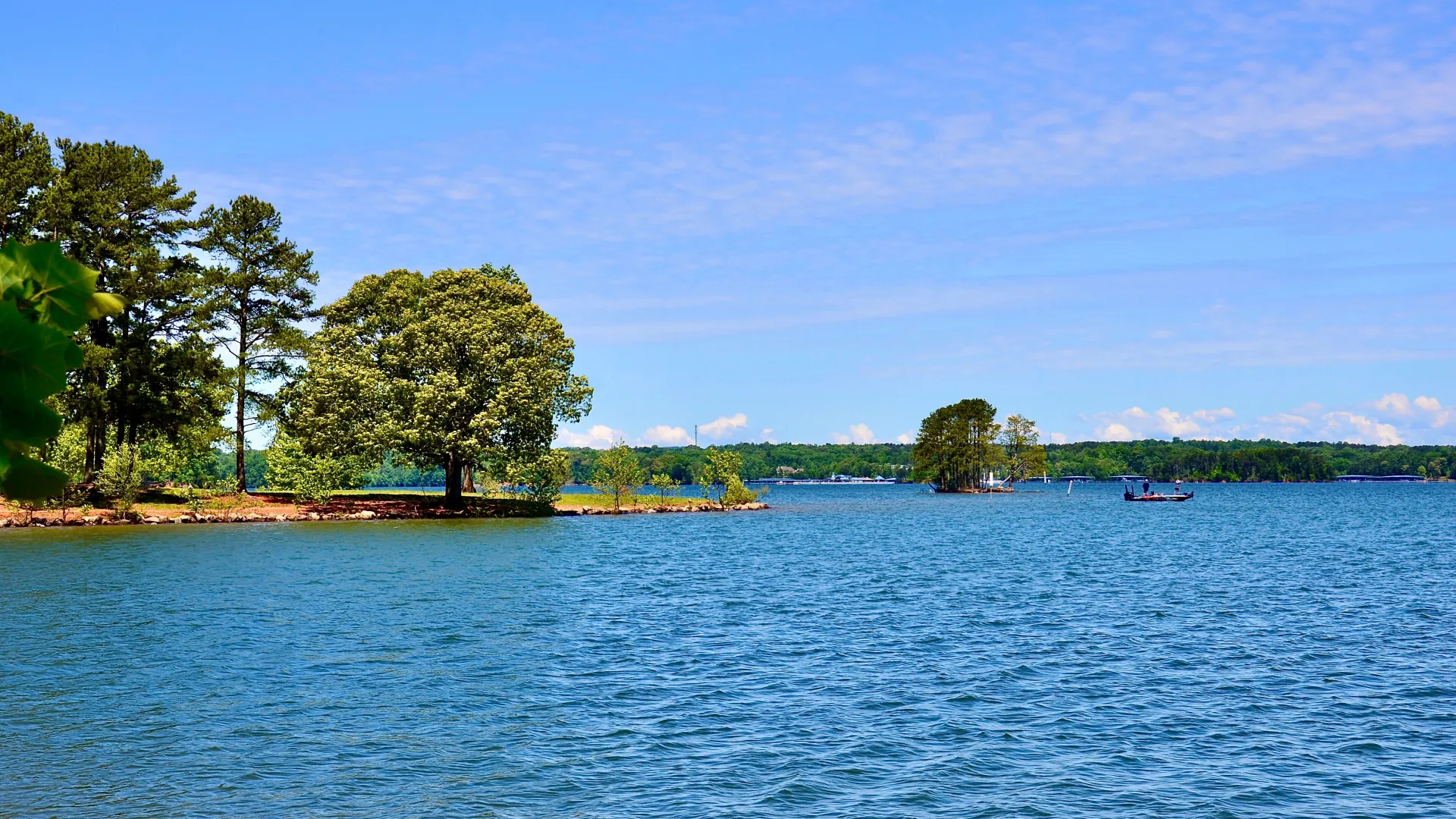 a body of water with trees and a boat in it