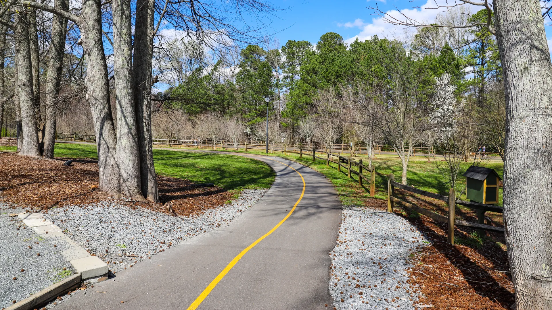 a road with trees on the side