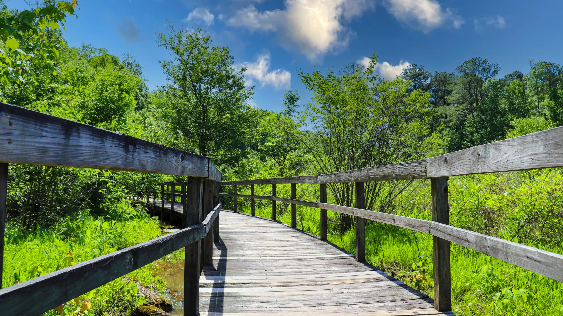 a wooden bridge over a river