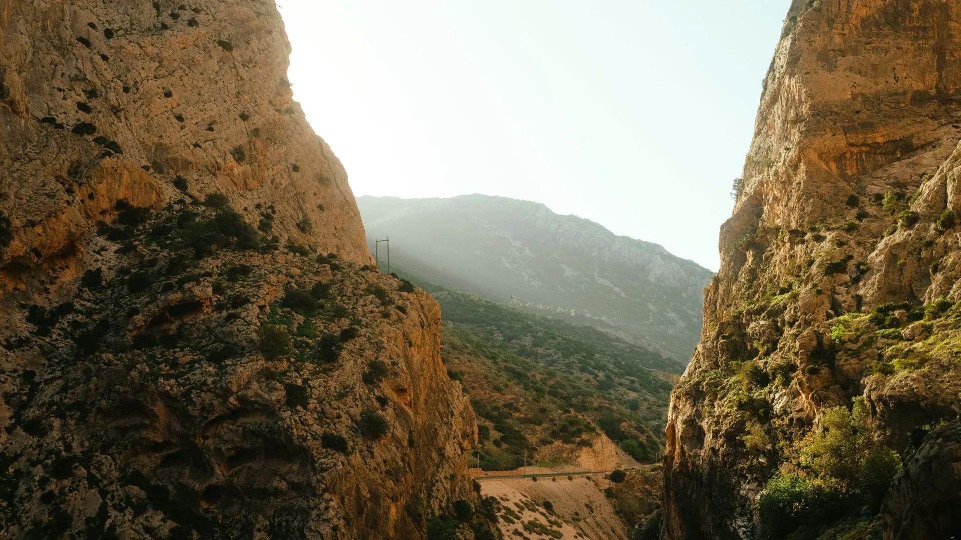 a canyon with a river running through it