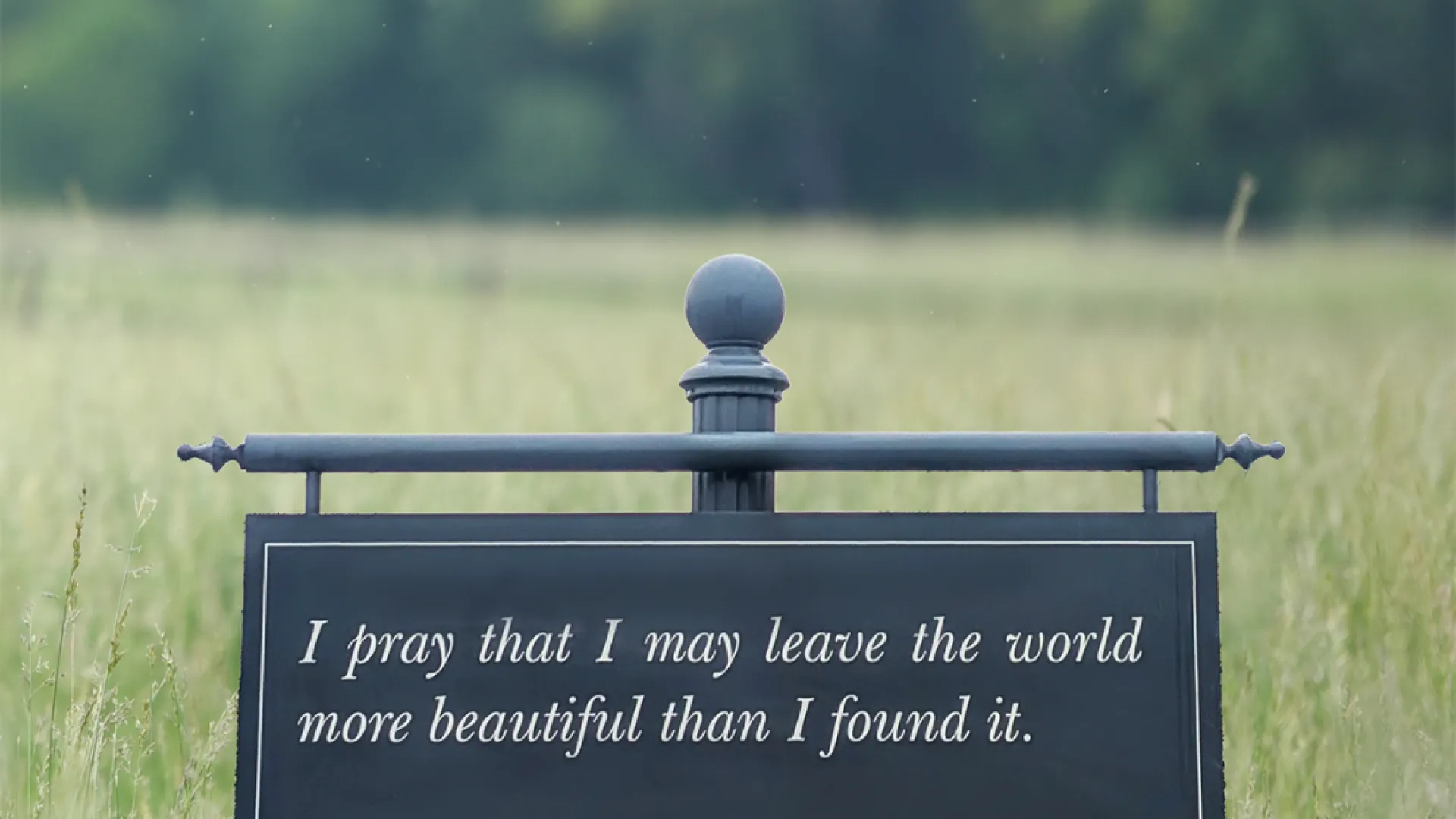 a sign in a field