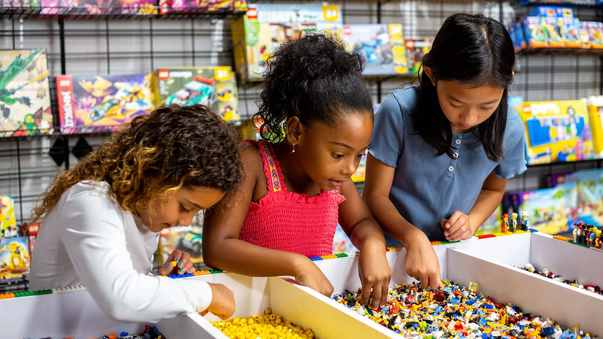 Bricks and Minifigs