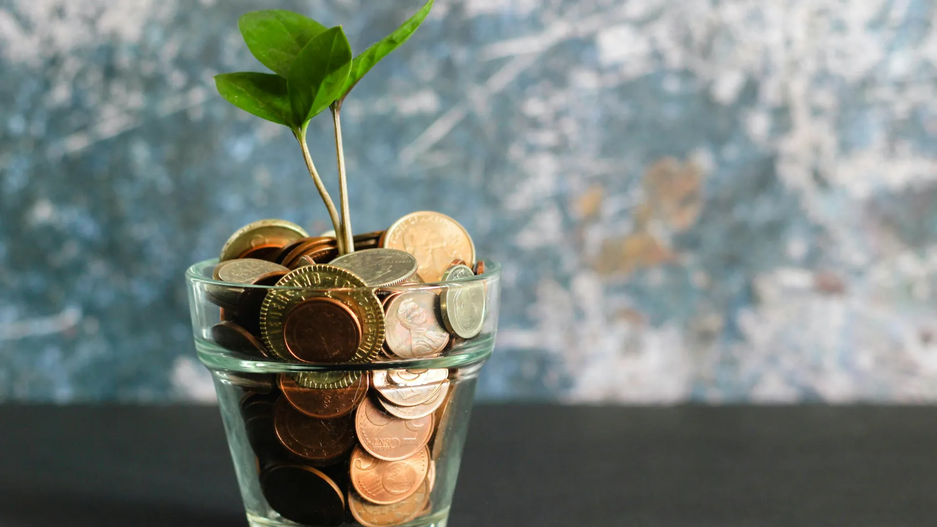 Green plant sprouting from a glass filled with various coins symbolizing growth and investment.