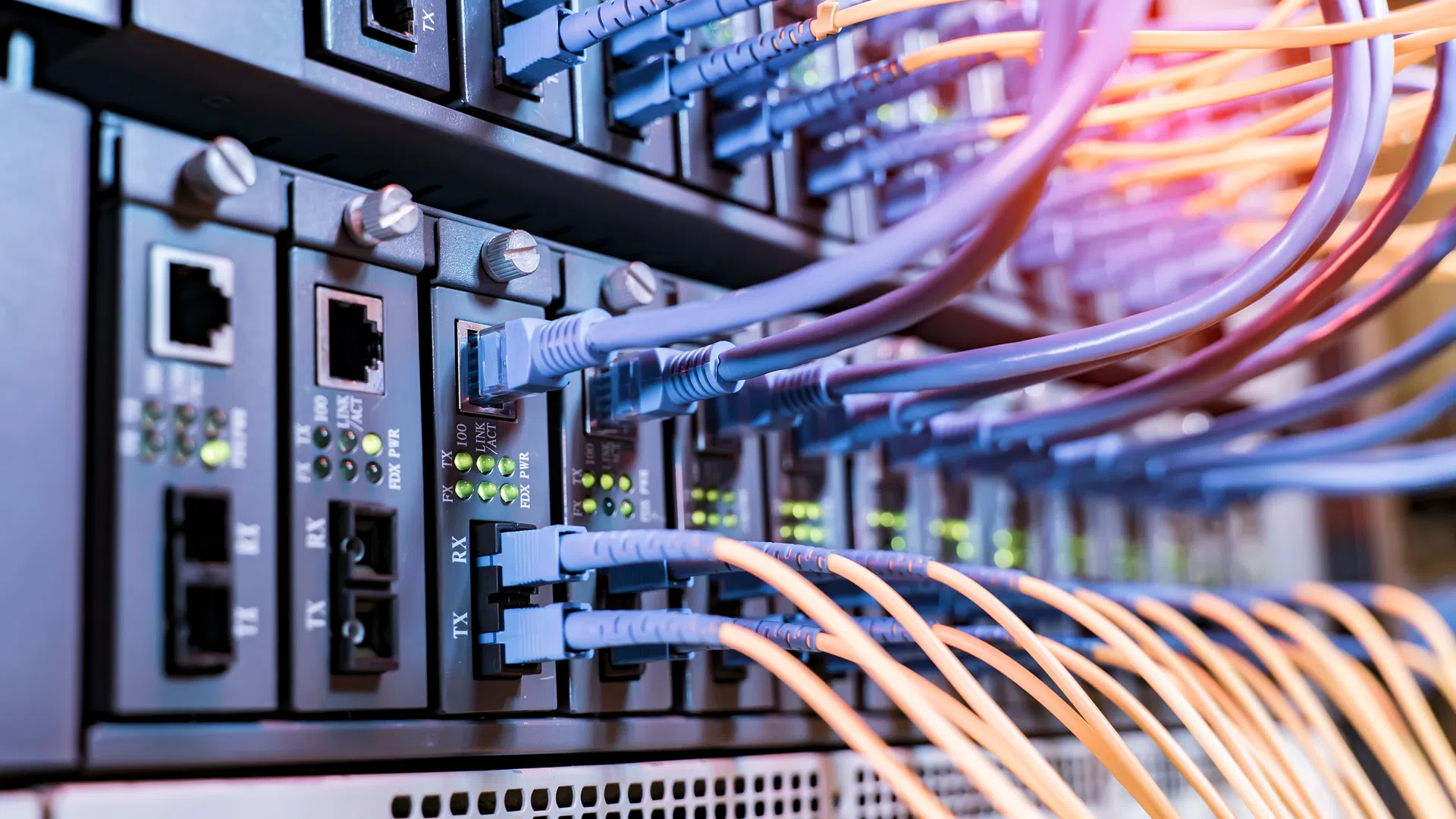 Close-up of network switches with multiple connected Ethernet cables and active green indicator lights
