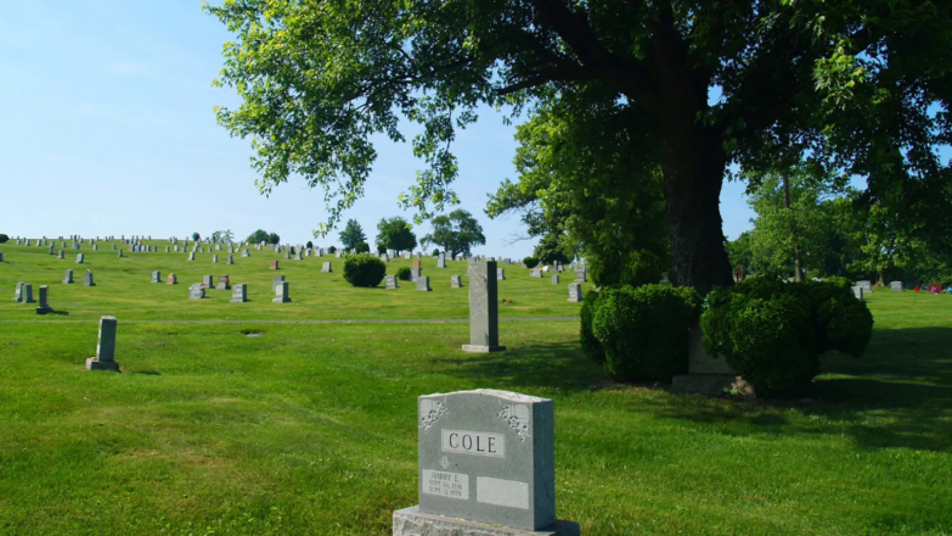 a cemetery with many headstones