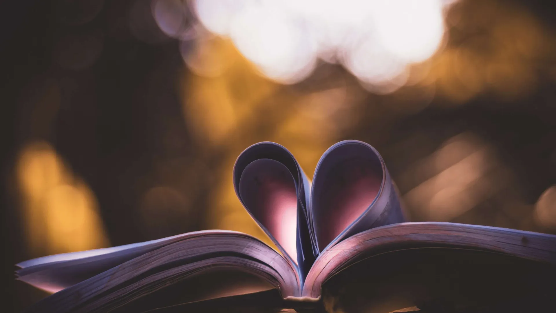 Open book with pages folded into a heart shape against a blurred warm light background.