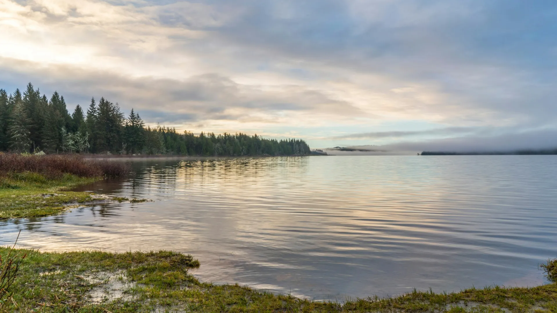 Calm lake with reflective water and grassy shore under cloudy blue sky and distant evergreen forest