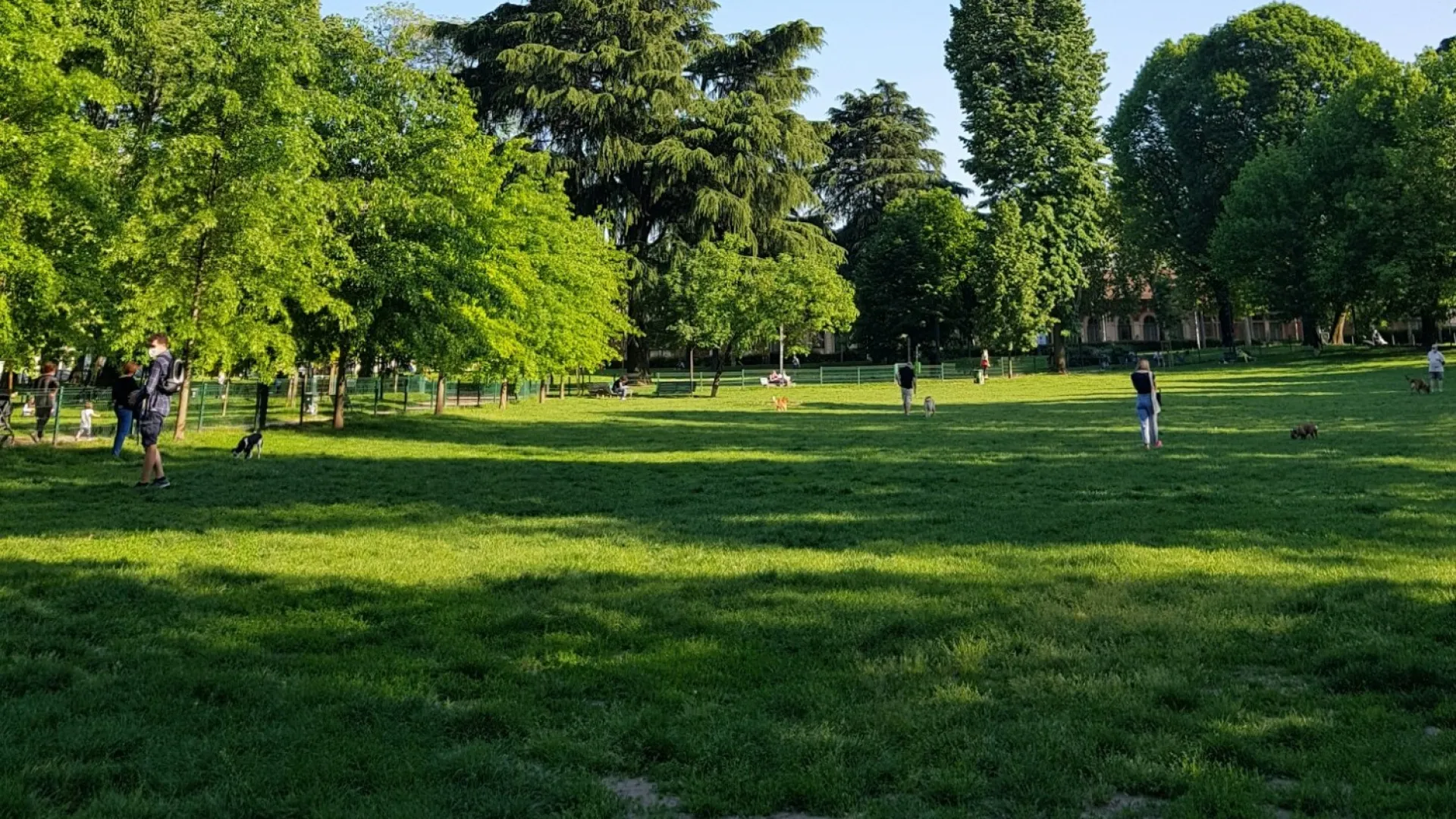 People relaxing on a sunlit grassy hill in a park with trees and city skyline in the background at sunset