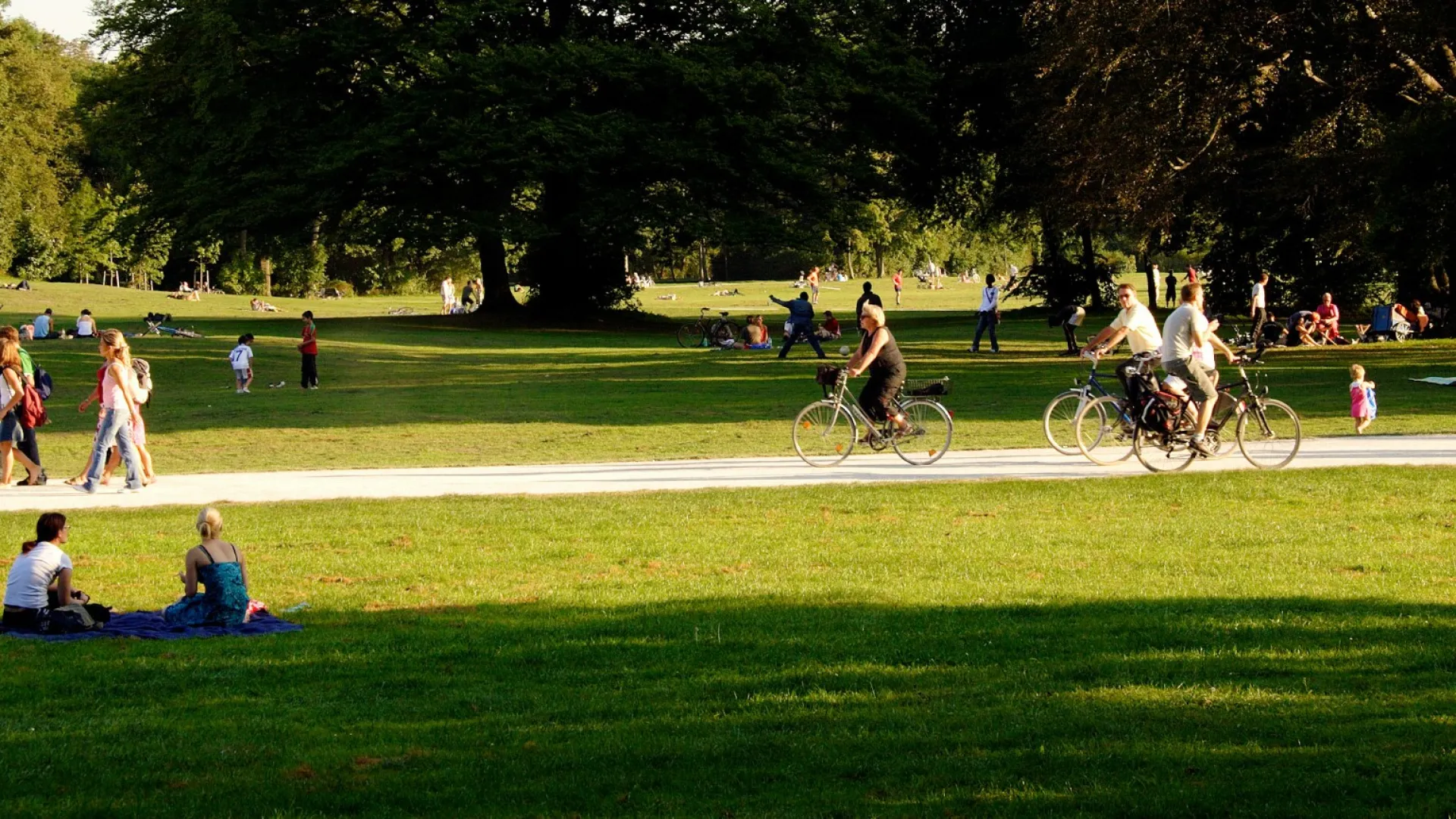 People walking, cycling, and relaxing on grassy park under large trees on sunny day