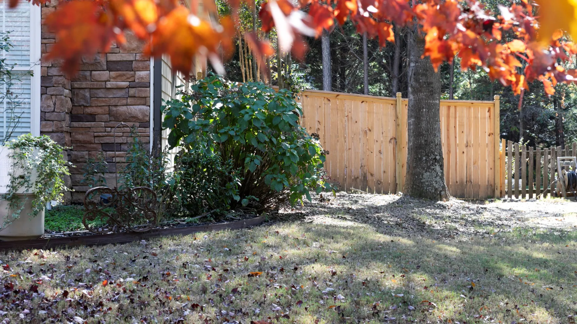 a fence and a tree