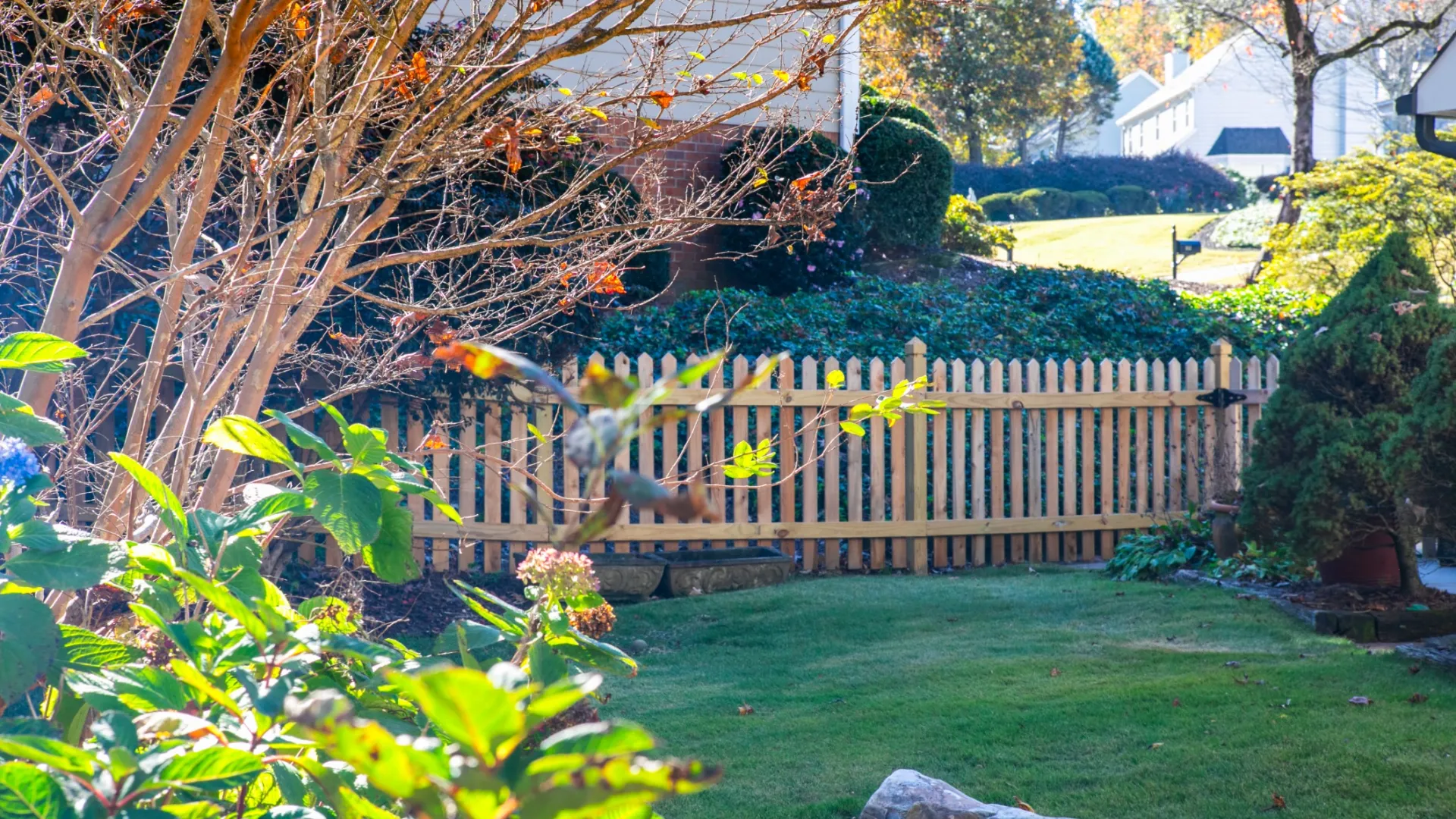 a fence in a yard