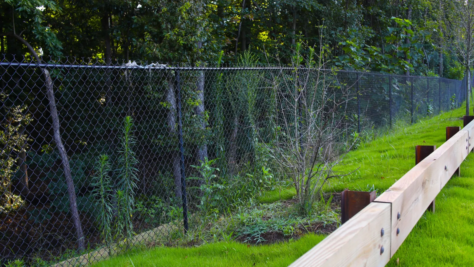 Chain link fence alongside a green grassy area with wooden guardrail and dense forest background.