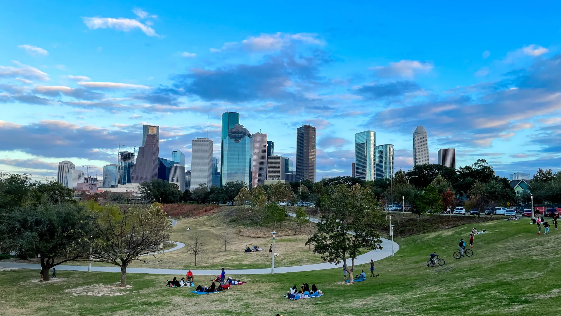 a park with a city in the background