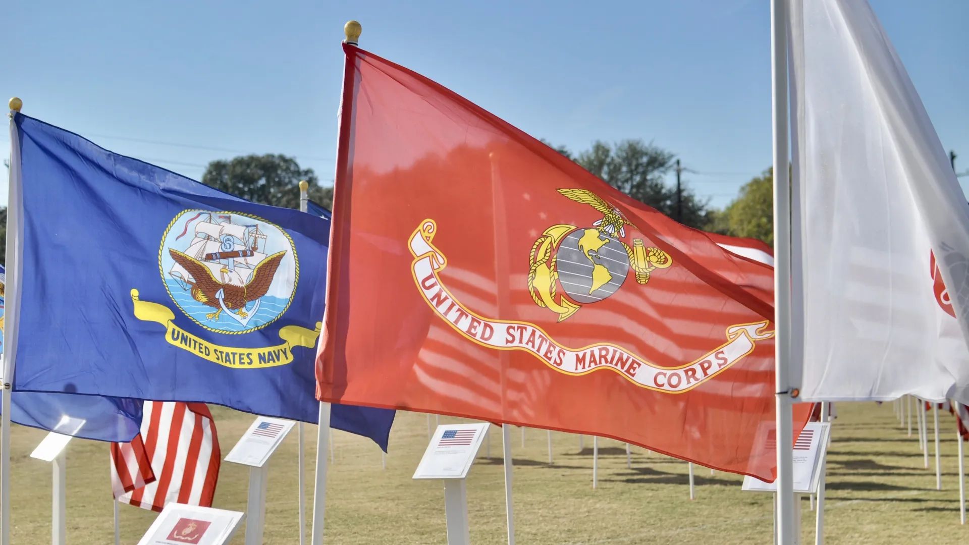 several flags on poles in texas