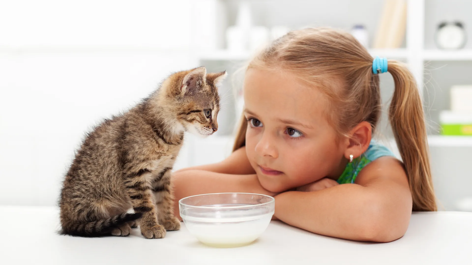 a person sitting at a table looking at a cat