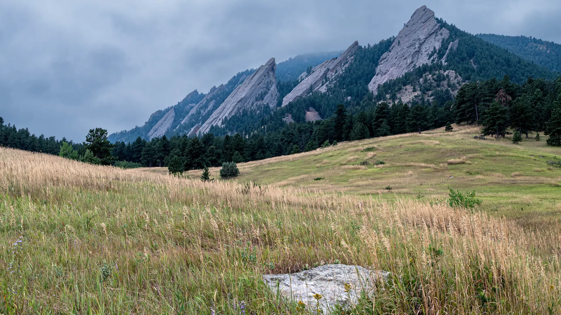 Grassy field with wildflowers in front of tall rocky mountain peaks under cloudy sky