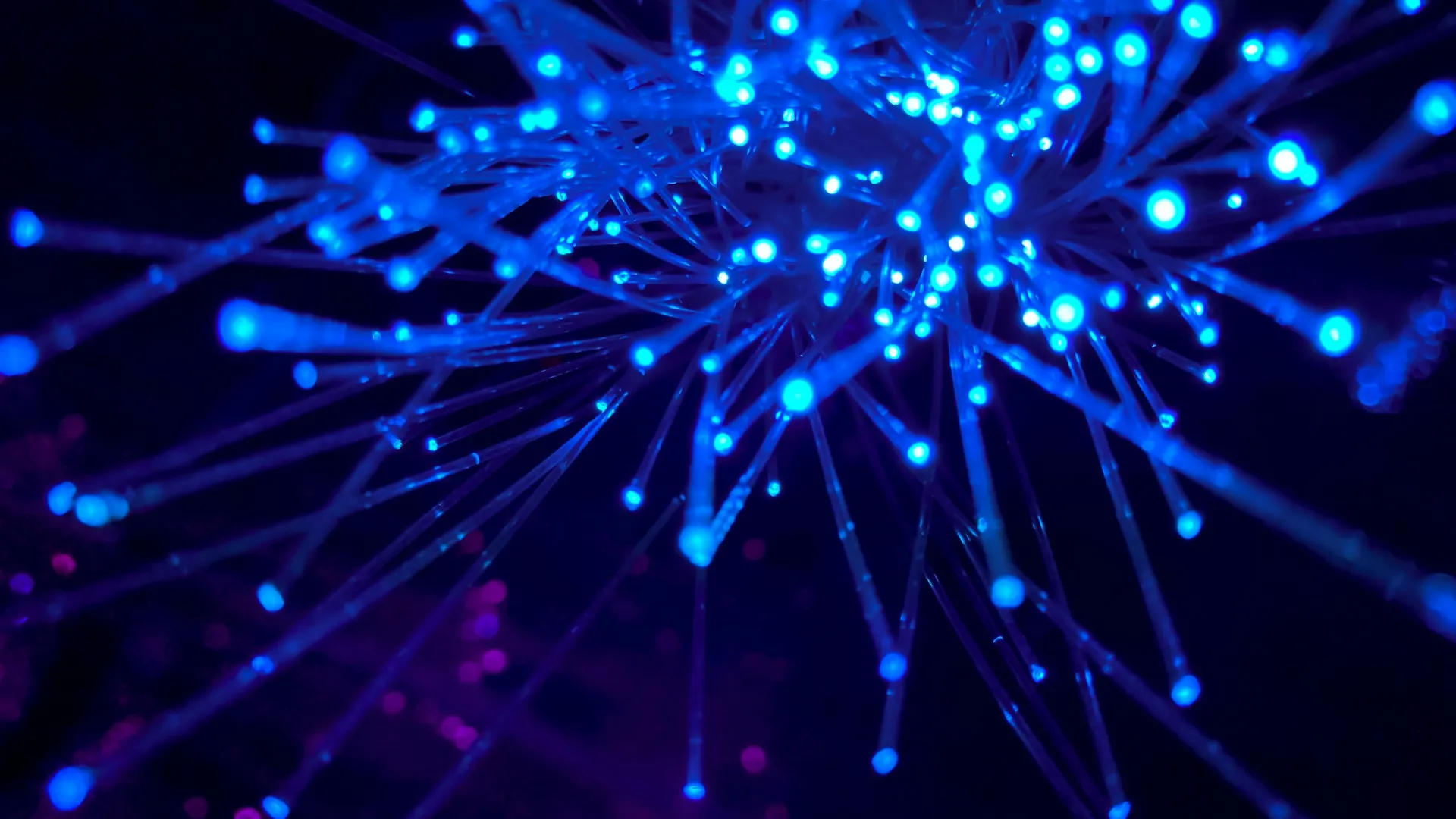Close-up of glowing blue fiber optic strands with purple highlights against a dark background.