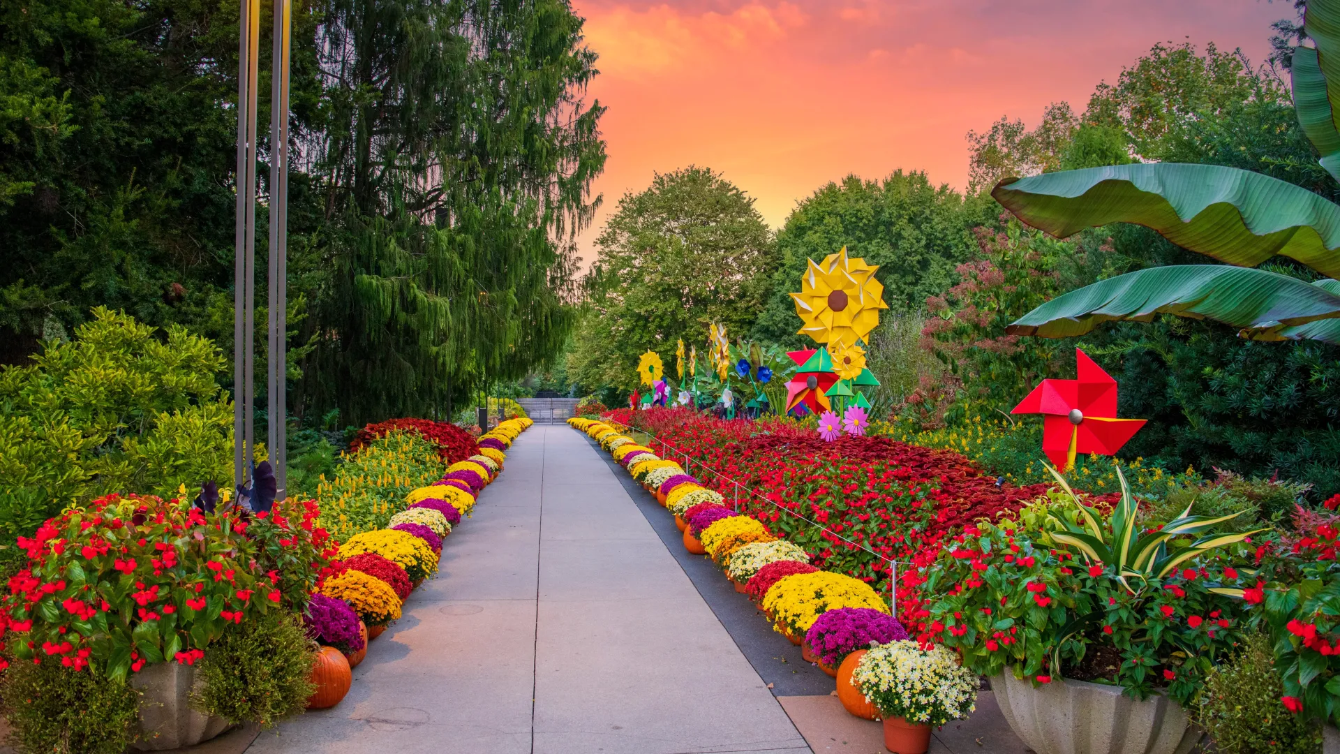 a garden with flowers and plants