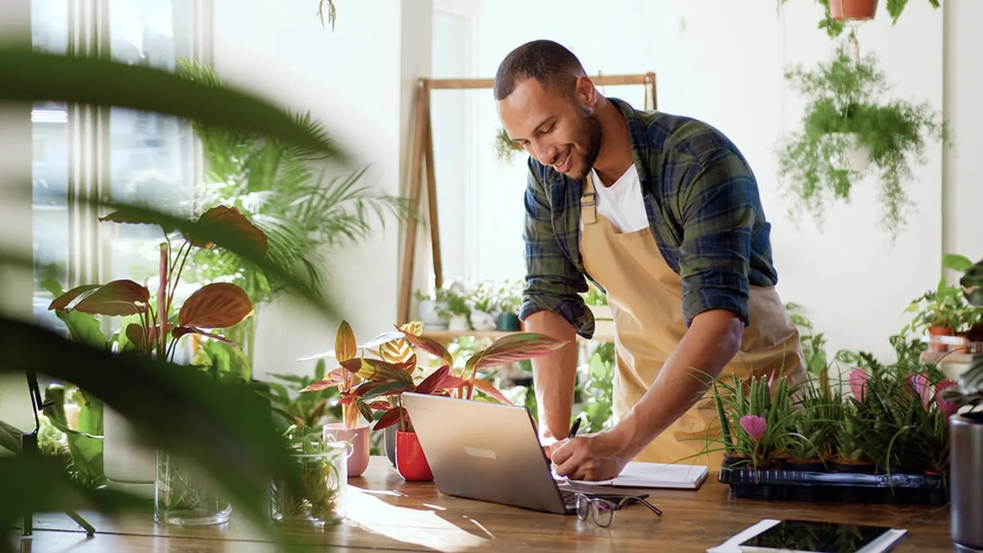 Man in apron working on laptop surrounded by indoor plants in bright, airy room with natural light.