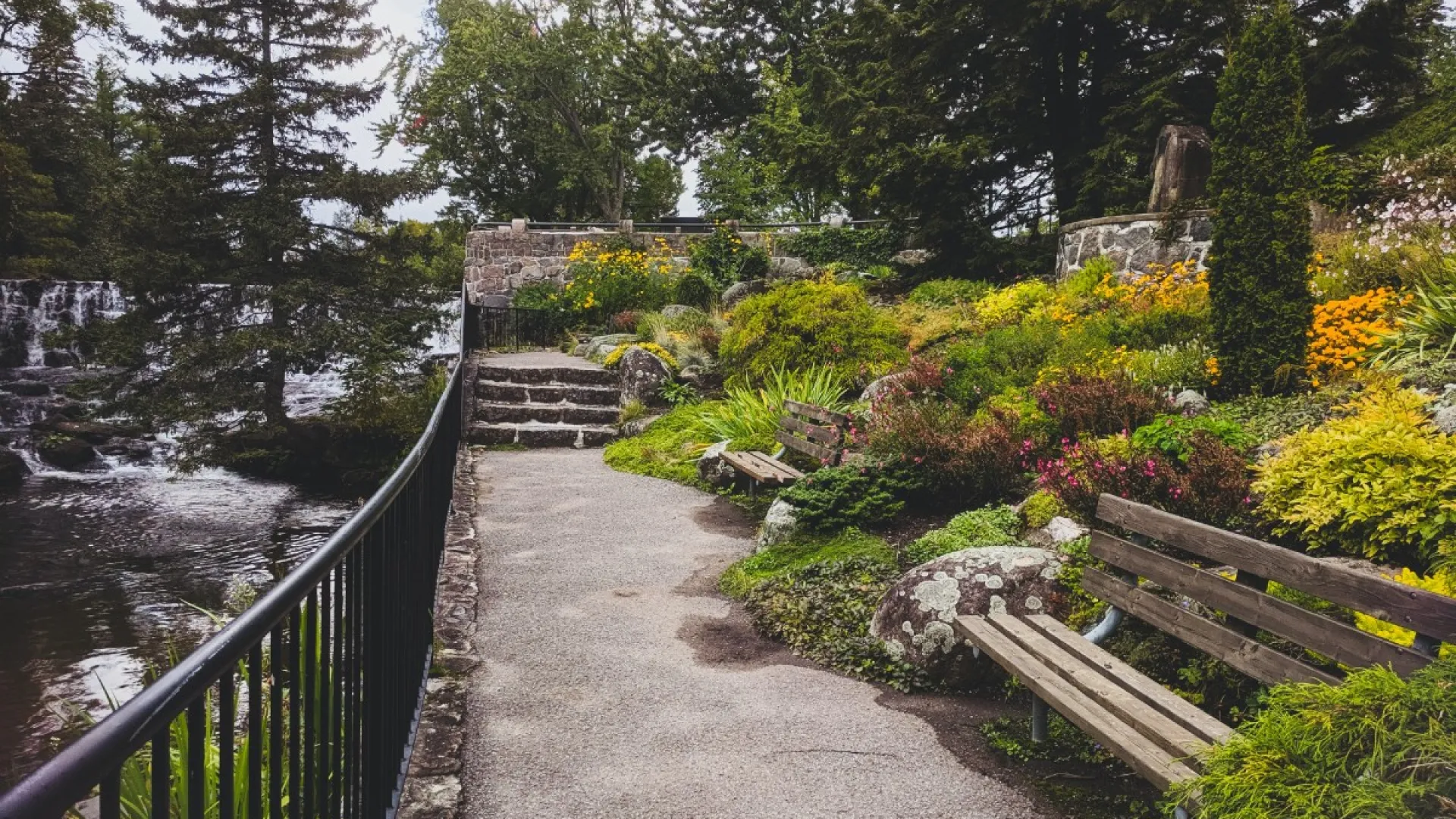 a bench on the side of a river