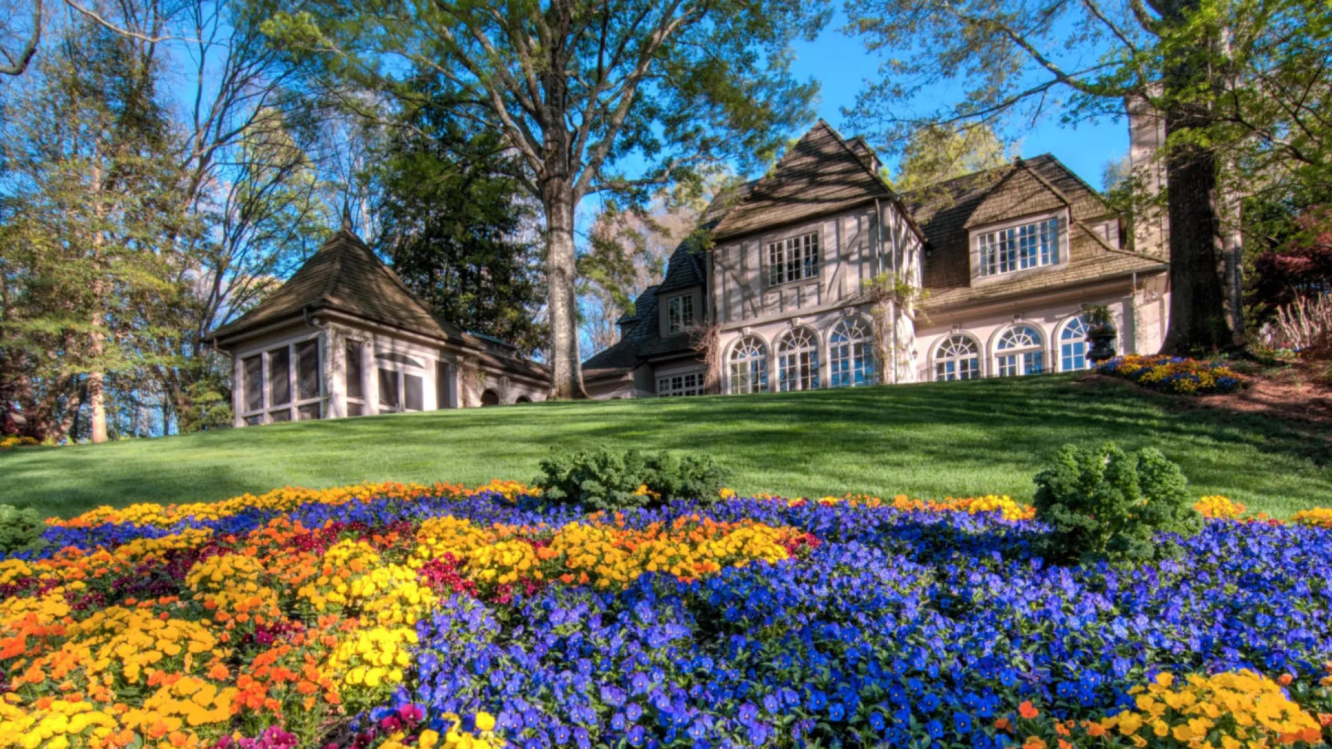 a close up of a flower garden