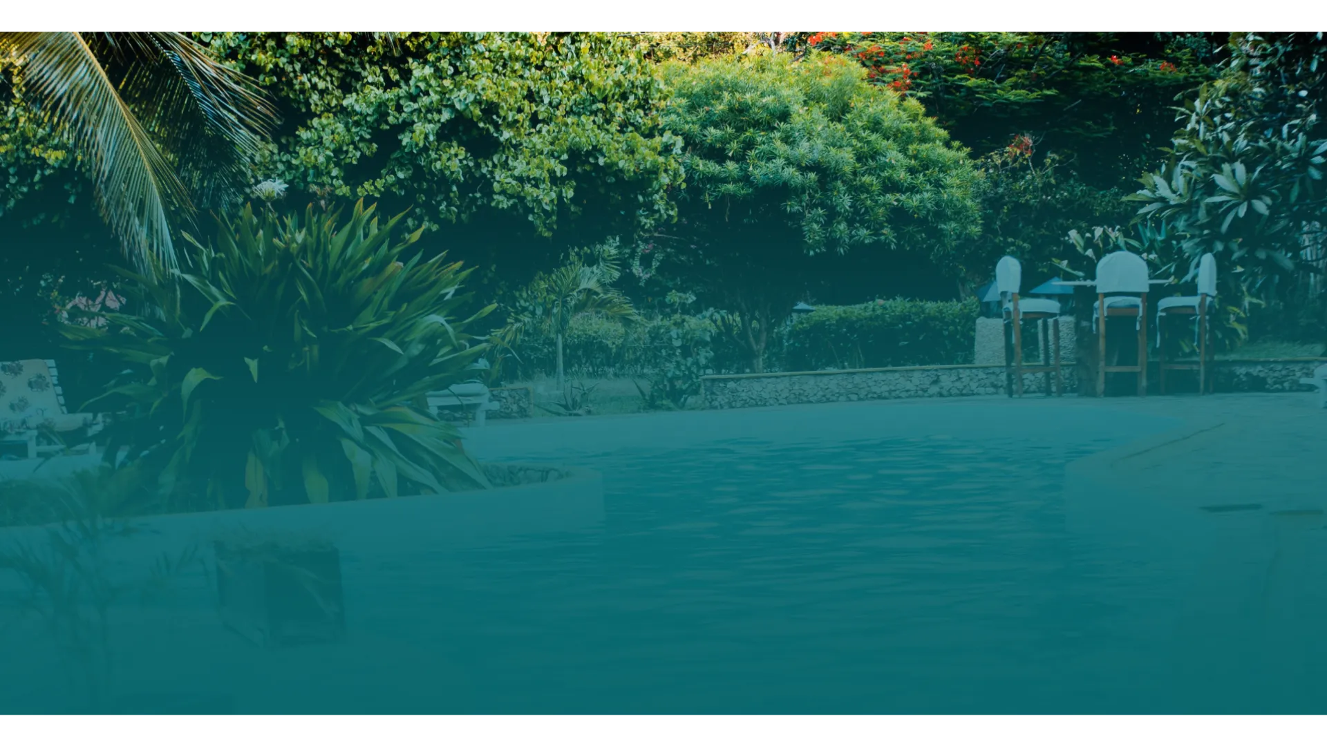 a pool with trees around it