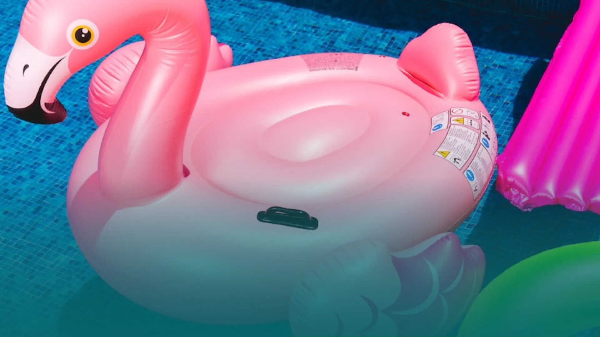 a pink flamingo floatie