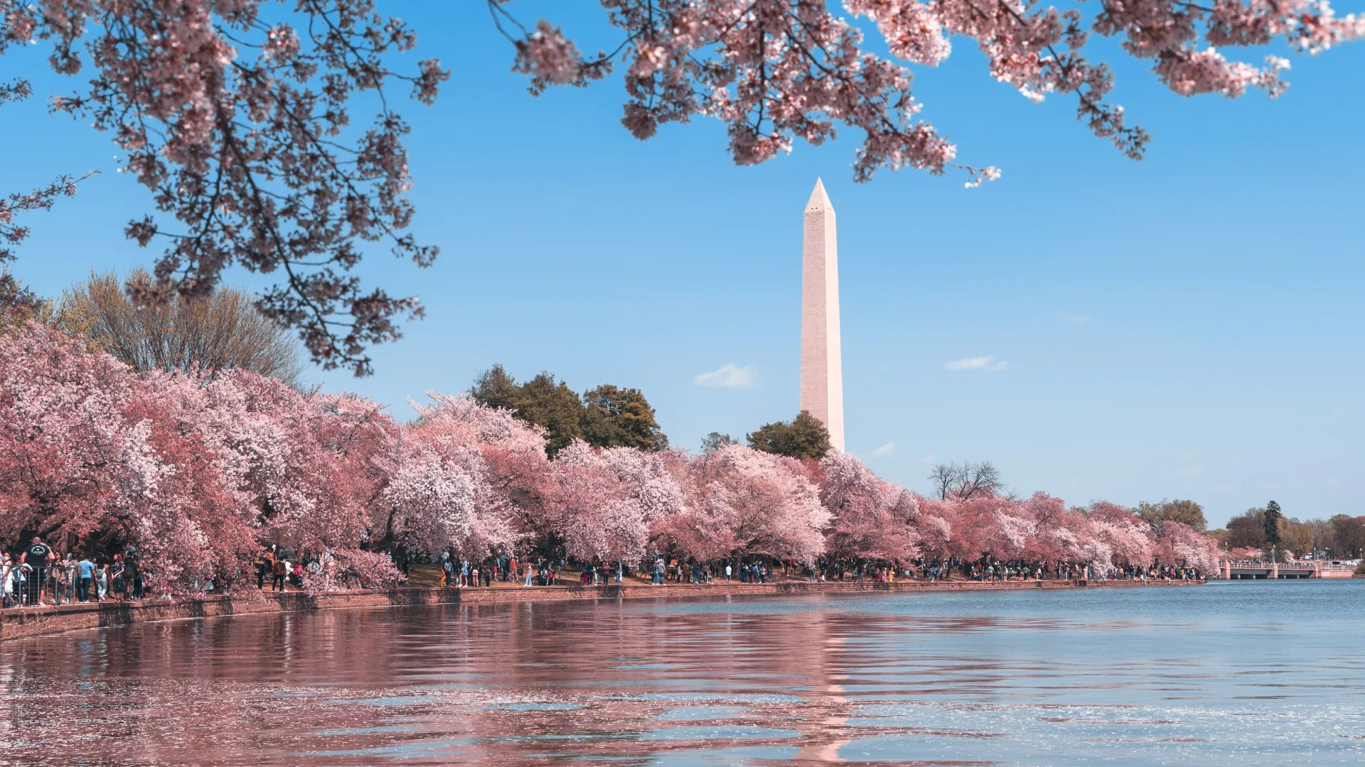 a body of water with trees around it and a tall tower in the background