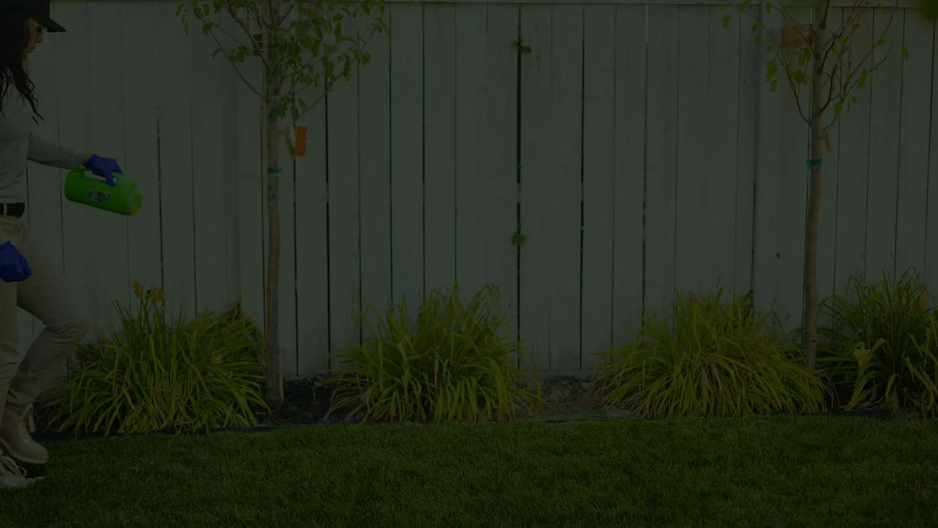 Woman wearing protective gloves spraying garden plants with pesticide near white fence on green grass.