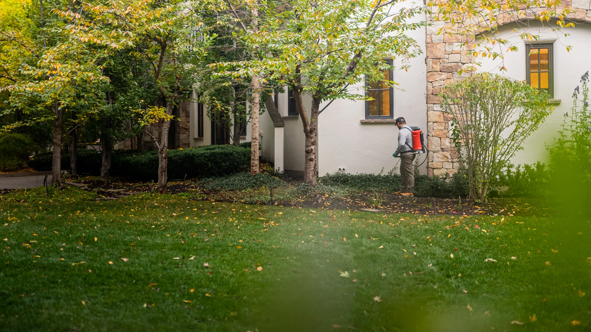 Gardener using a backpack sprayer to treat plants near a house with stone and white walls in autumn.
