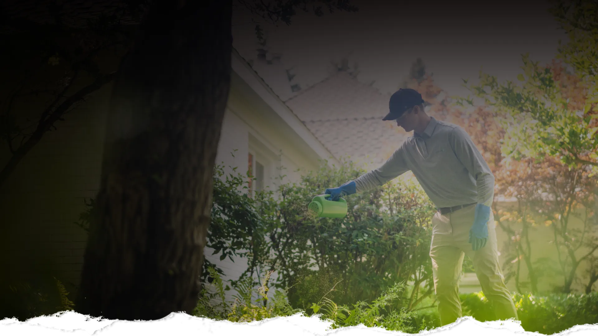 Man wearing gloves watering garden plants with a green watering can in a sunny backyard near a house.