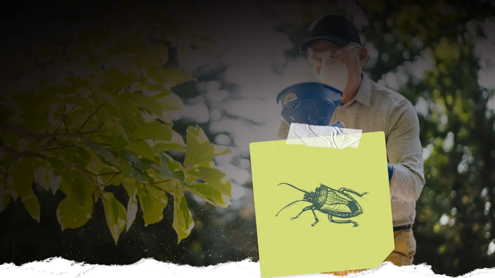 Person wearing mask and gloves spraying insecticide outdoors near green plants to control bugs.
