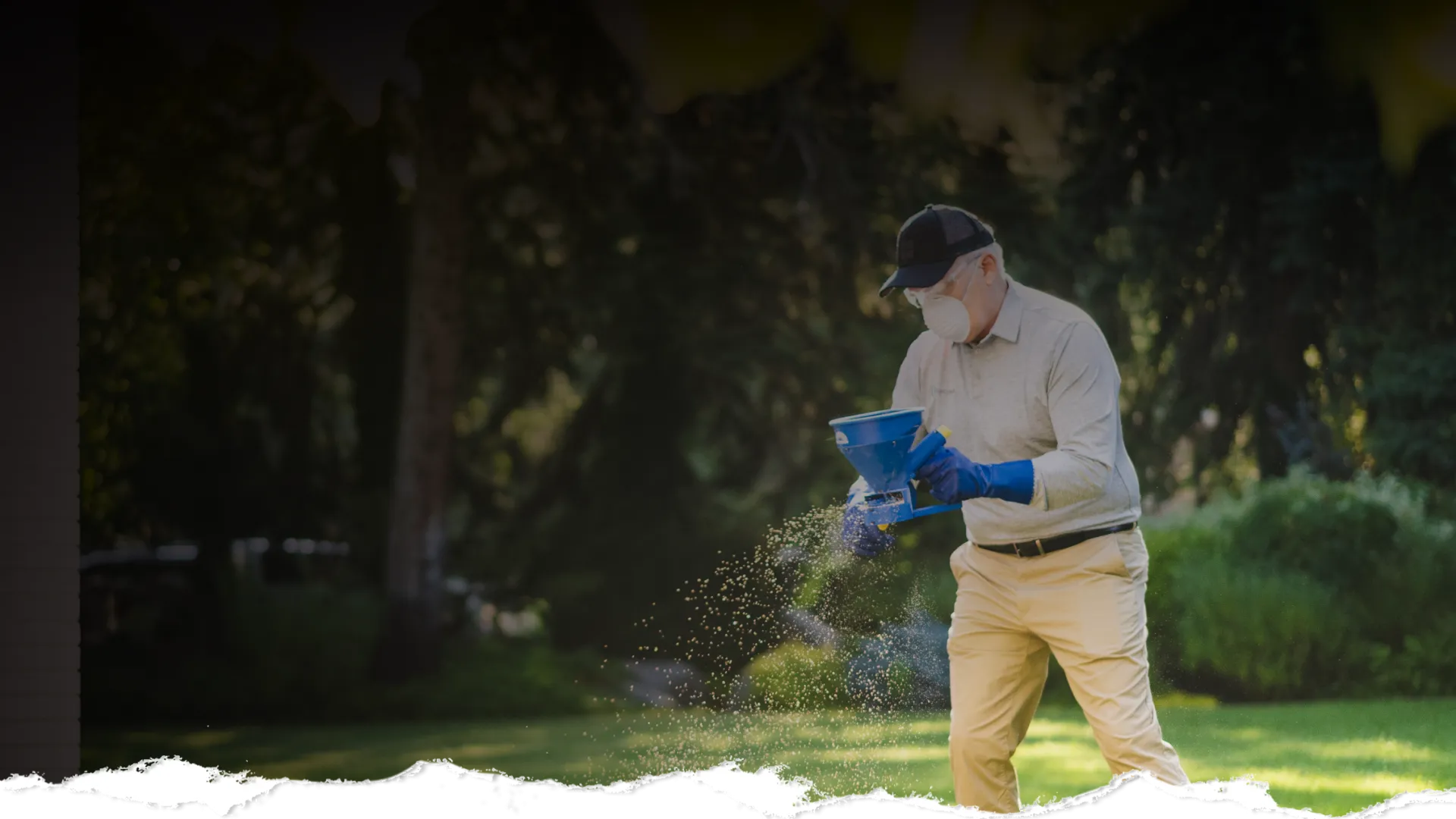 Man wearing mask and gloves spreads fertilizer on a green lawn using a handheld spreader on a sunny day.