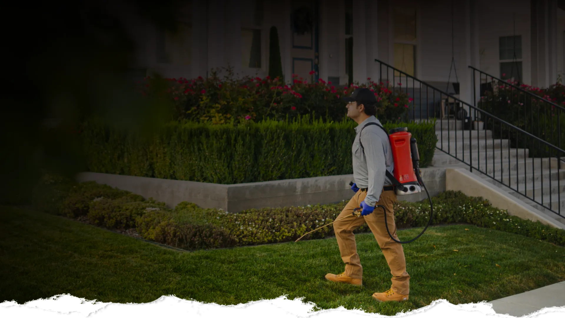 Man wearing gloves and a backpack sprayer treating lawn near a house with stairs and flower beds